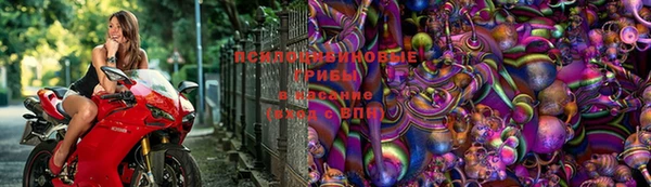 ECSTASY Алексеевка